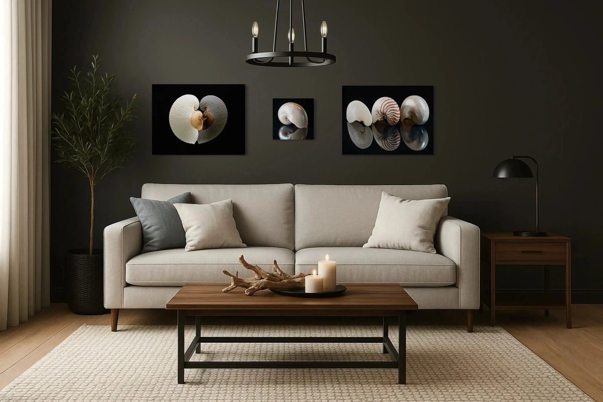 Coastal Noir living room with a light gray sofa, walnut furniture accents, black details, and a seashell glass prints gallery wall, styled with driftwood and cozy candles on the coffee table.