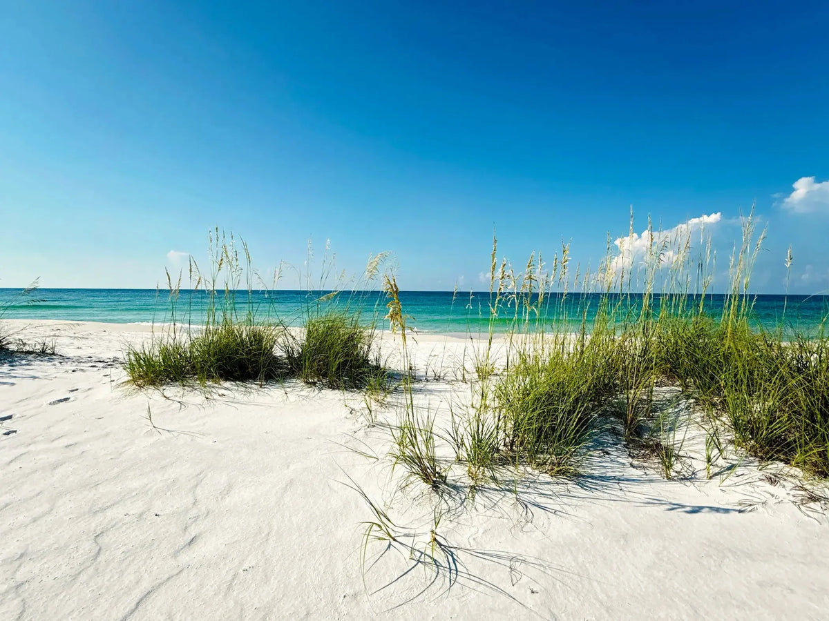 Paradise & Sea Oats coastal glass print wall art – serene ocean view for Feng Shui decor