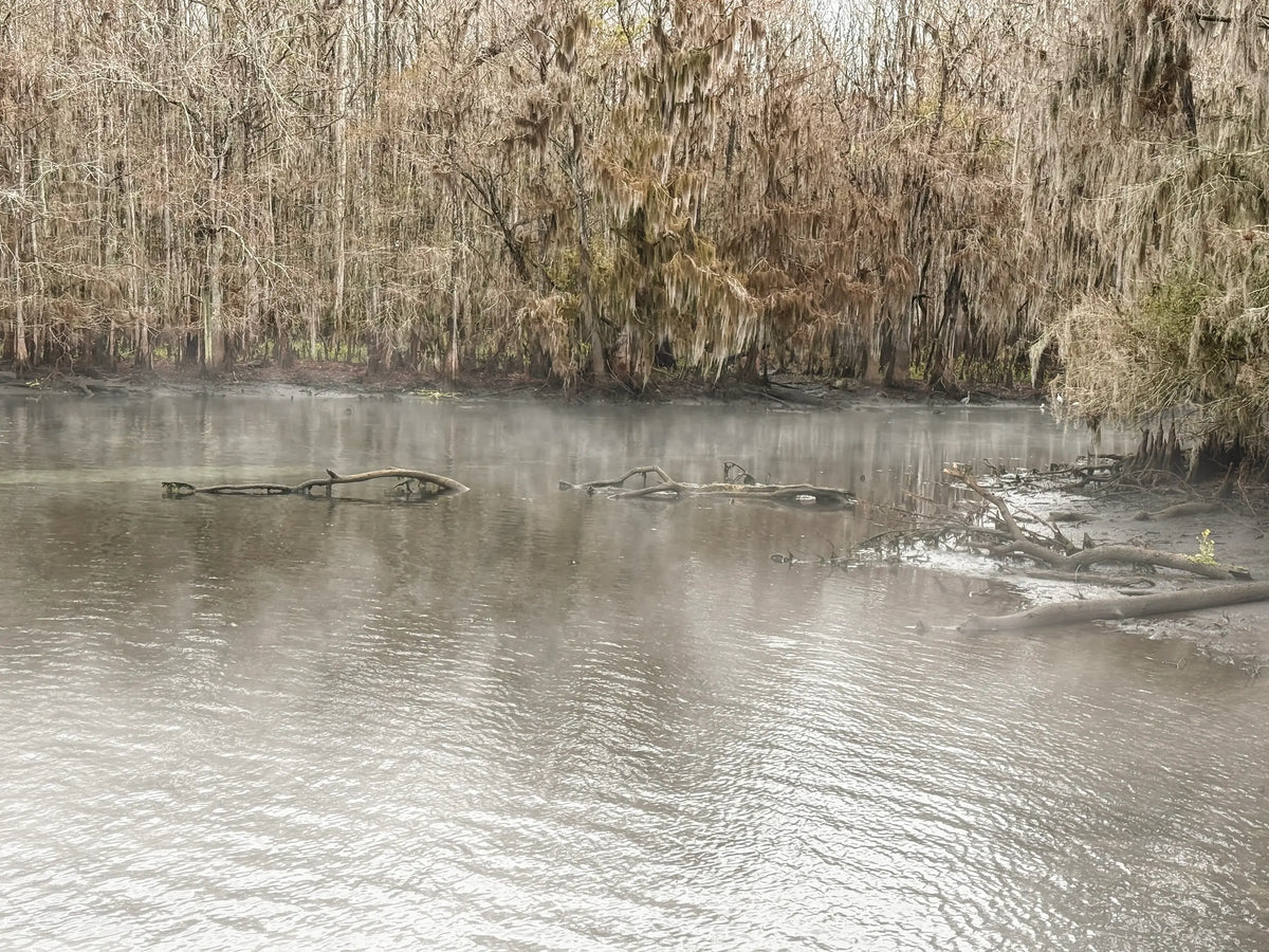 Manatee Springs State Park on a misty cold morning