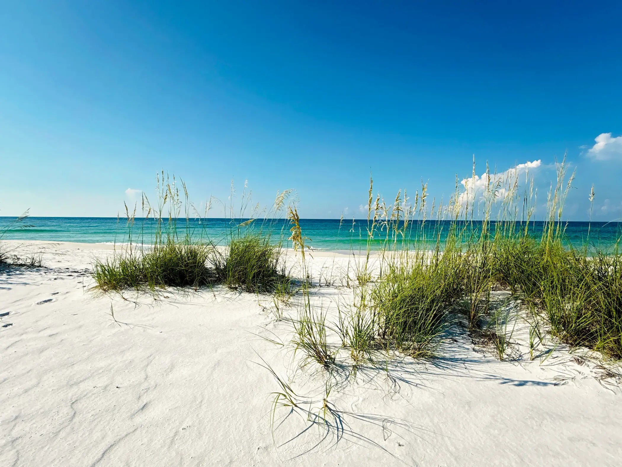 Photograph of an Emerald Coast beach, sea oats, crystal white sands, emerald and blue waters, under a soft blue sky.