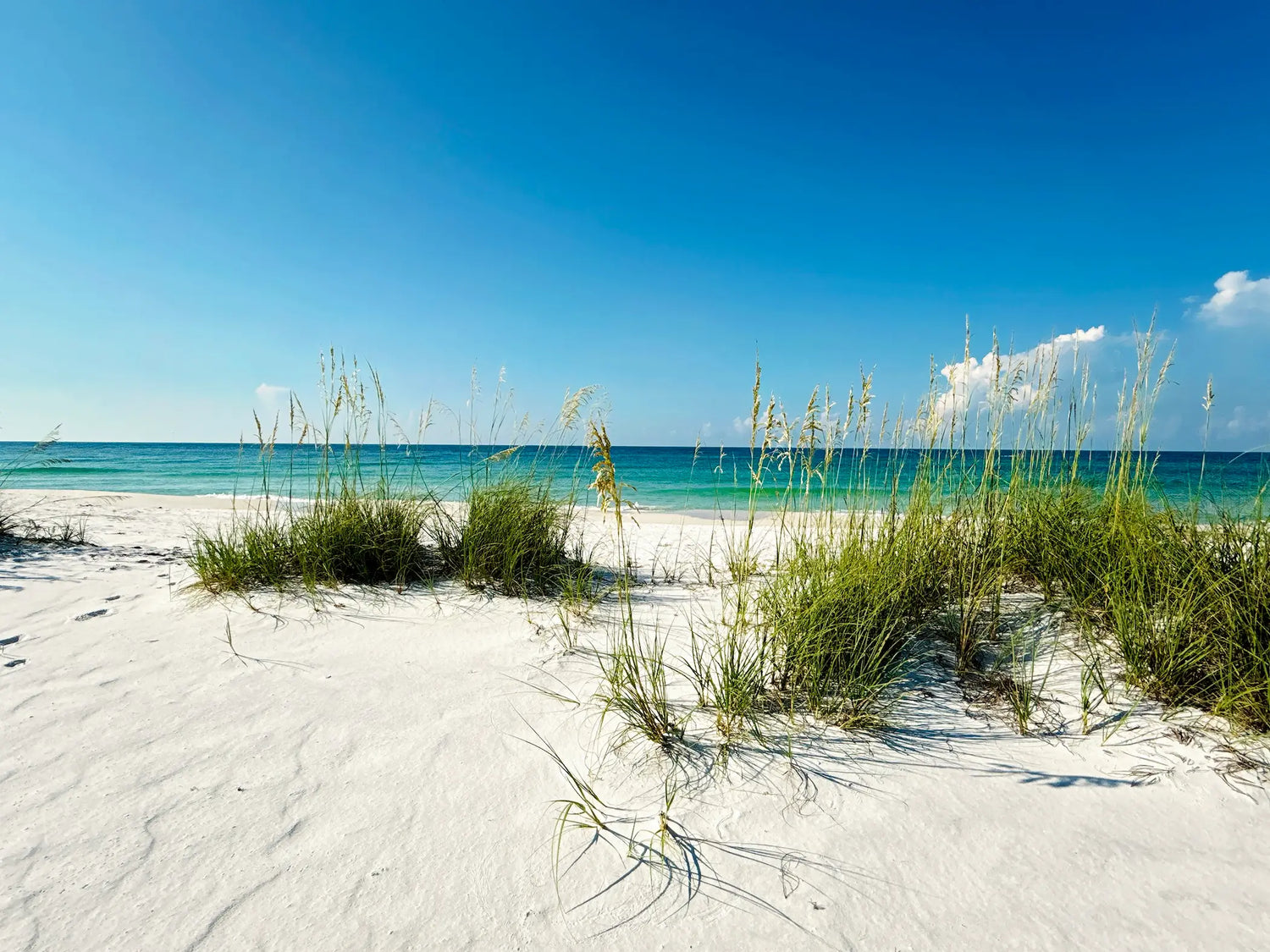 Paradise &amp; Sea Oats coastal glass print wall art – serene ocean view for Feng Shui decor