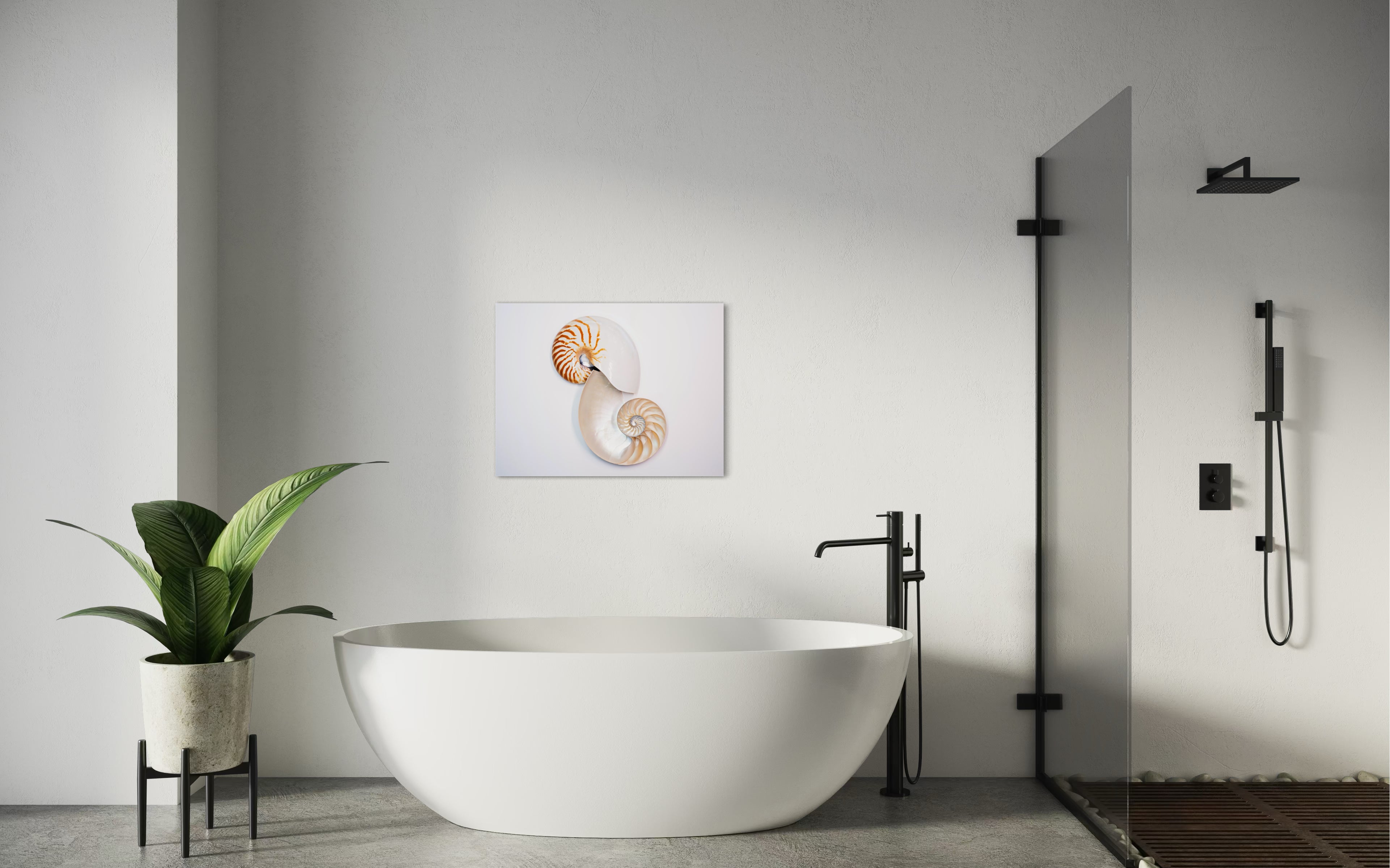 Fibonacci Nautilus Shell Coastal Glass Print by Echoes of the Sea, coastal bathroom decor