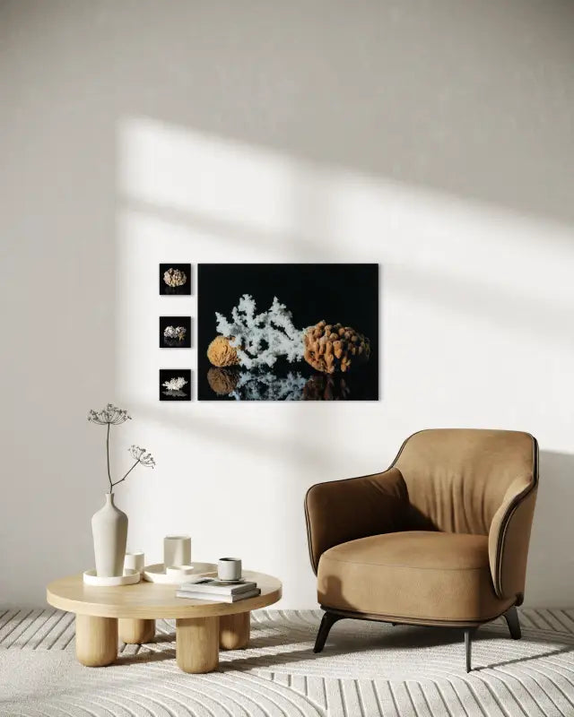 Glass print of pink barnacles, white and golden starfish on black background-coastal wall gallery