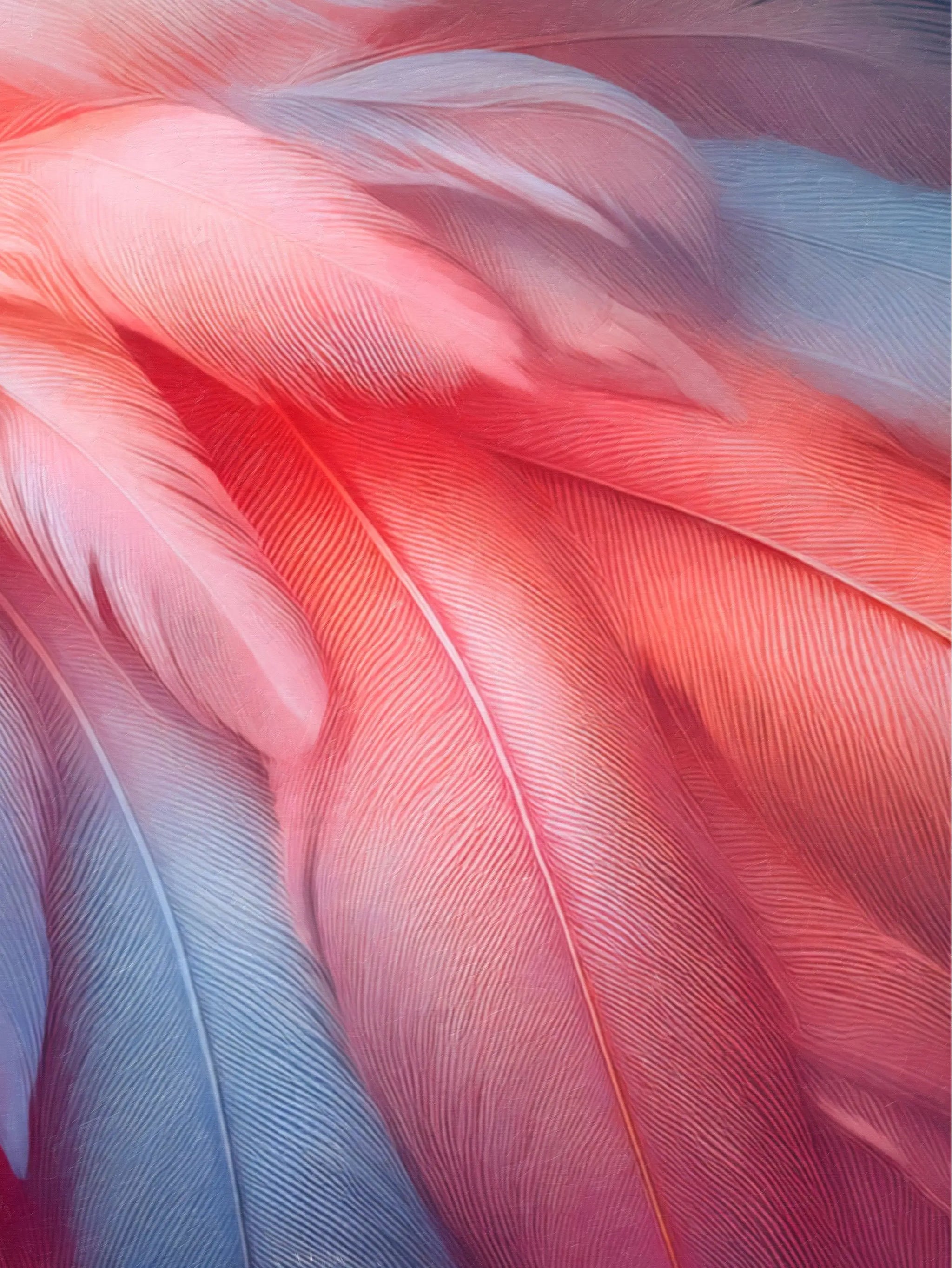 Blush Flamingo Feather Coastal Glass Art – Panel 3, overlapping flamingo feathers with cool blue and blush highlights printed on frameless glass.