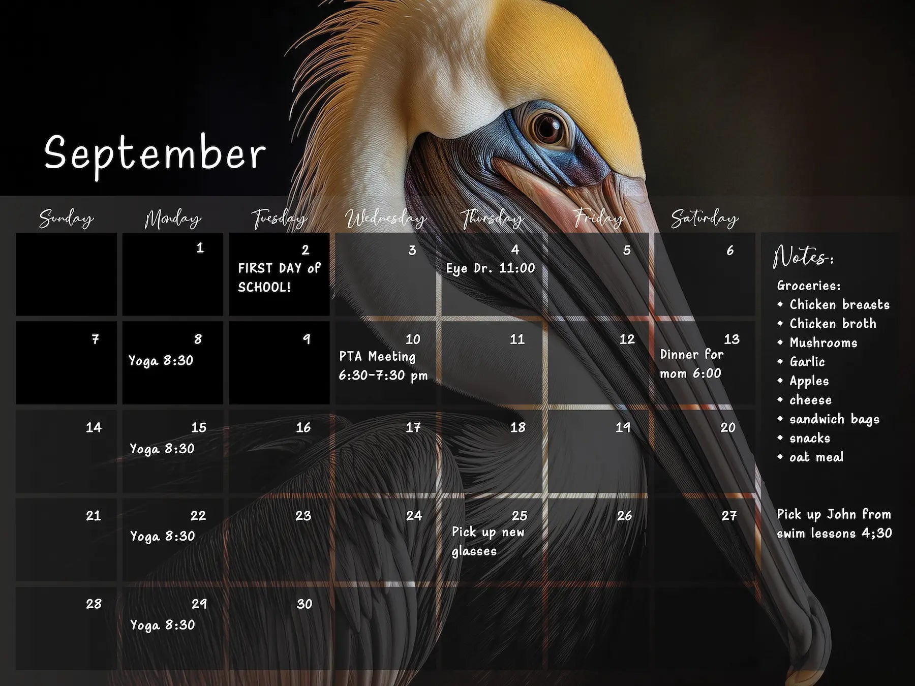 A dry-erase perpetual glass calendar featuring a dramatic, close-up portrait of a brown pelican on dark background, with monthly grid and a notes section in use