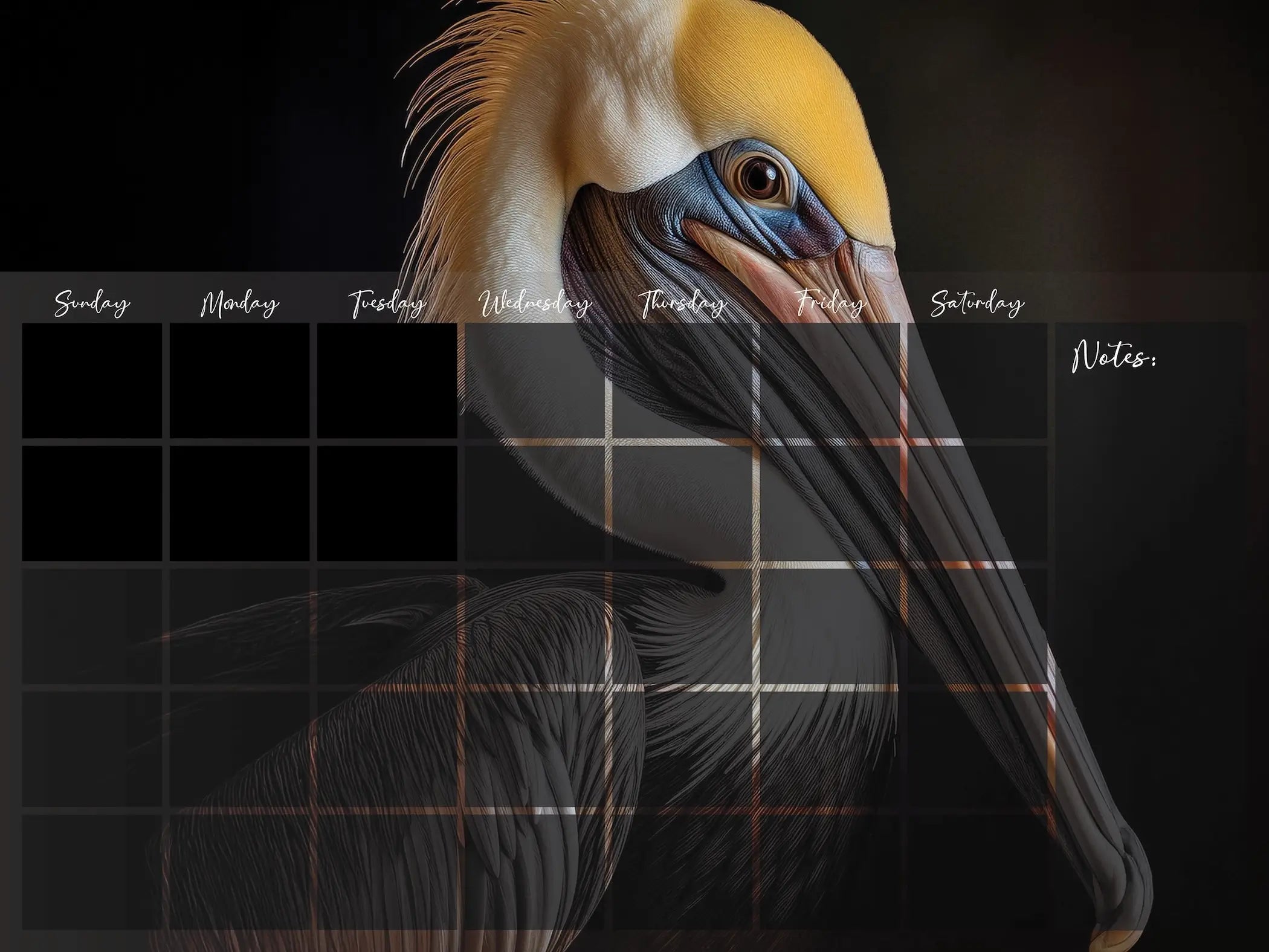 A dry-erase perpetual glass calendar featuring a dramatic, close-up portrait of a brown pelican on dark background, with monthly grid and a notes section.