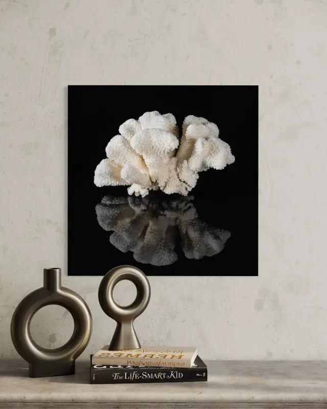 Cauliflower coral on black reflective glass, Echoes art -wall decor