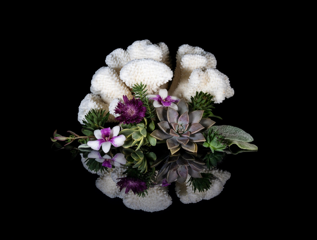 Cauliflower coral and succulent coastal glass print on a black background with subtle reflection