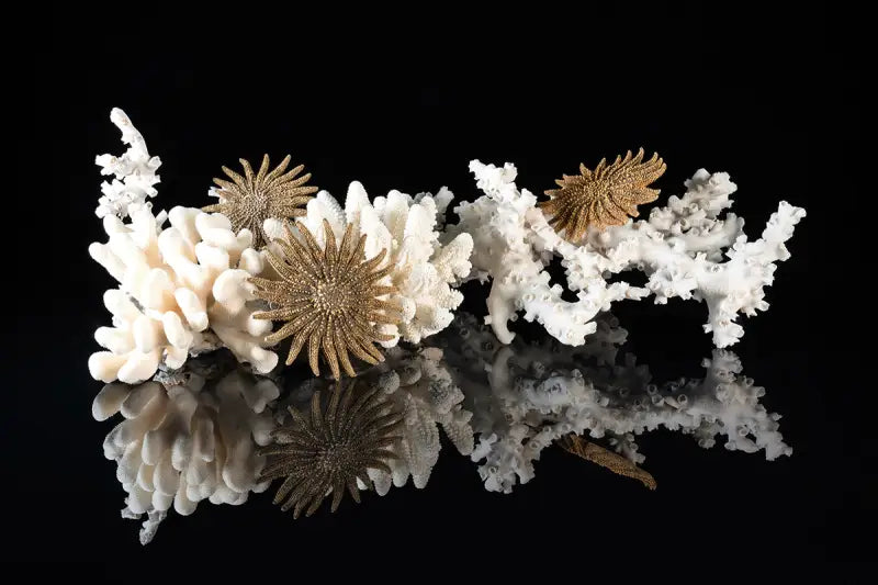Coastal Charm: Vintage Coral & Starfish Glass Artwork - Large 15.6 x 20.8 - Prints
