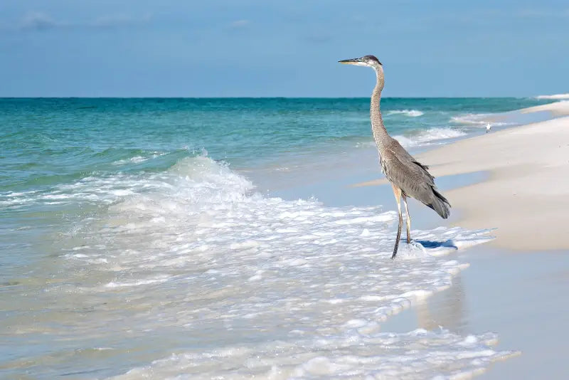 Coastal Serenity Heron Glass Artwork - Large 15.6’’ x 20.8’’ - Beach Scene Printed