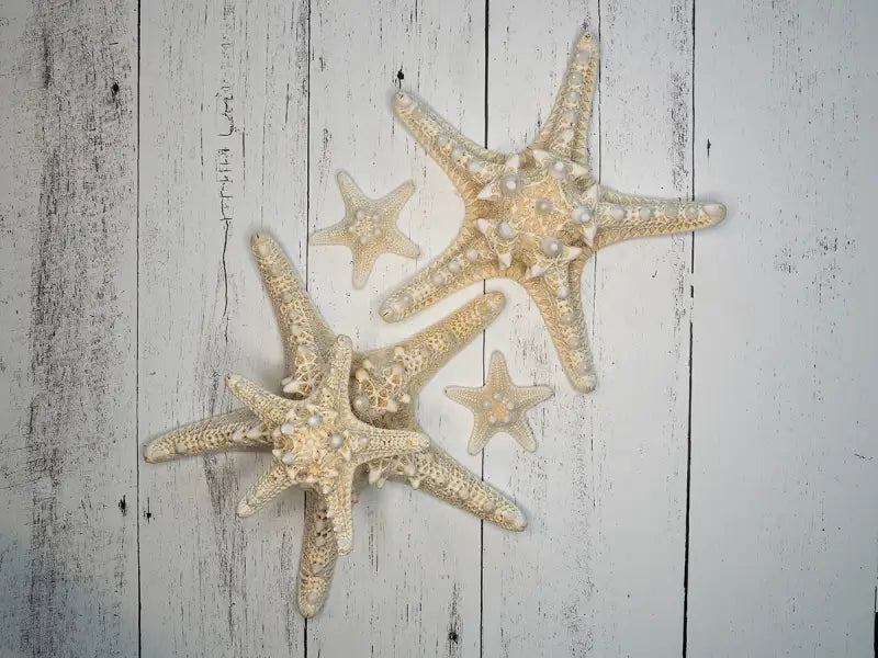 Coastal Charm: Starfish Glass Artwork - Small 4.8’’ x 6.4’’ - Prints