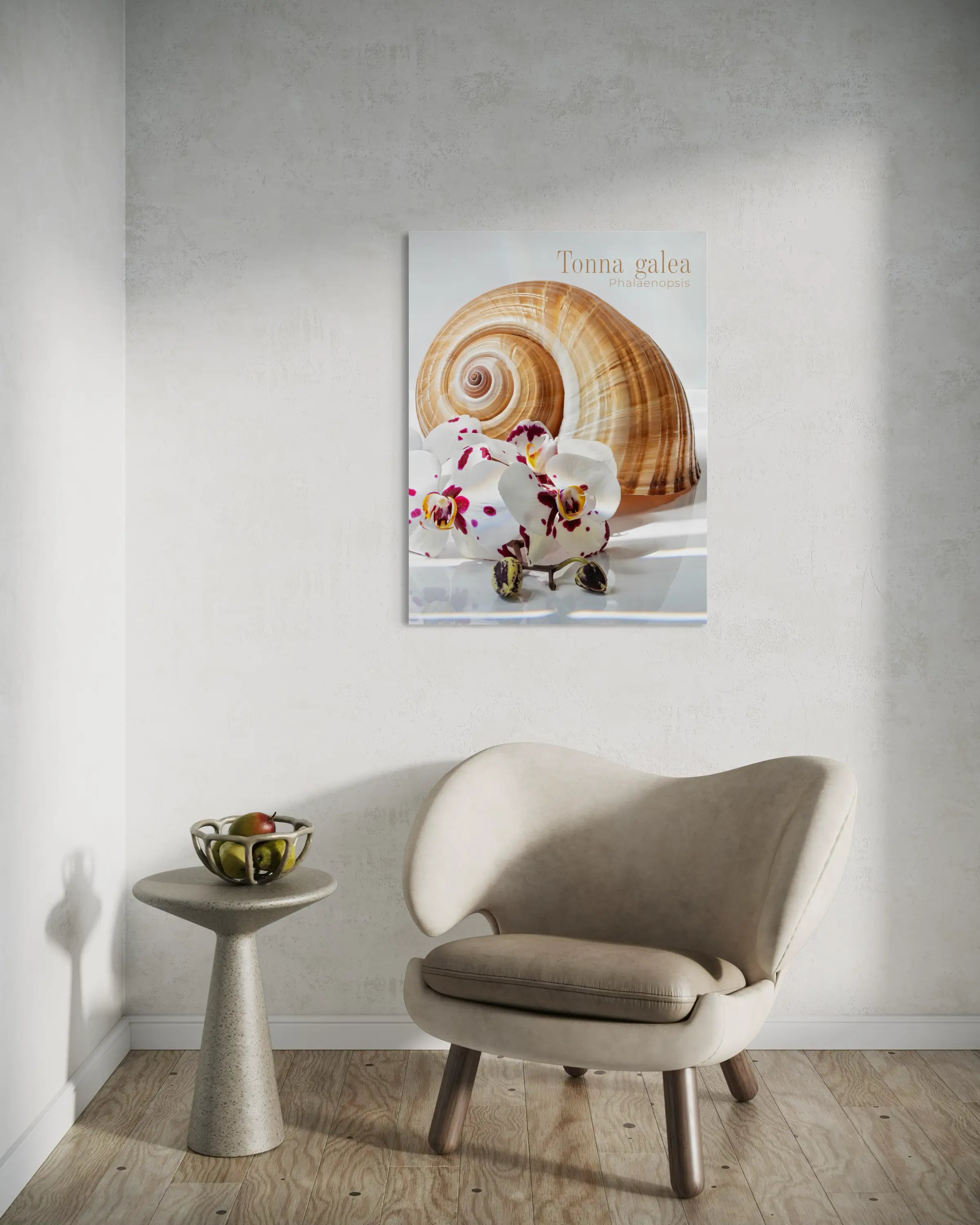 Tonna shell and spotted orchid glass wall art above a modern chair in a minimalist neutral sitting area