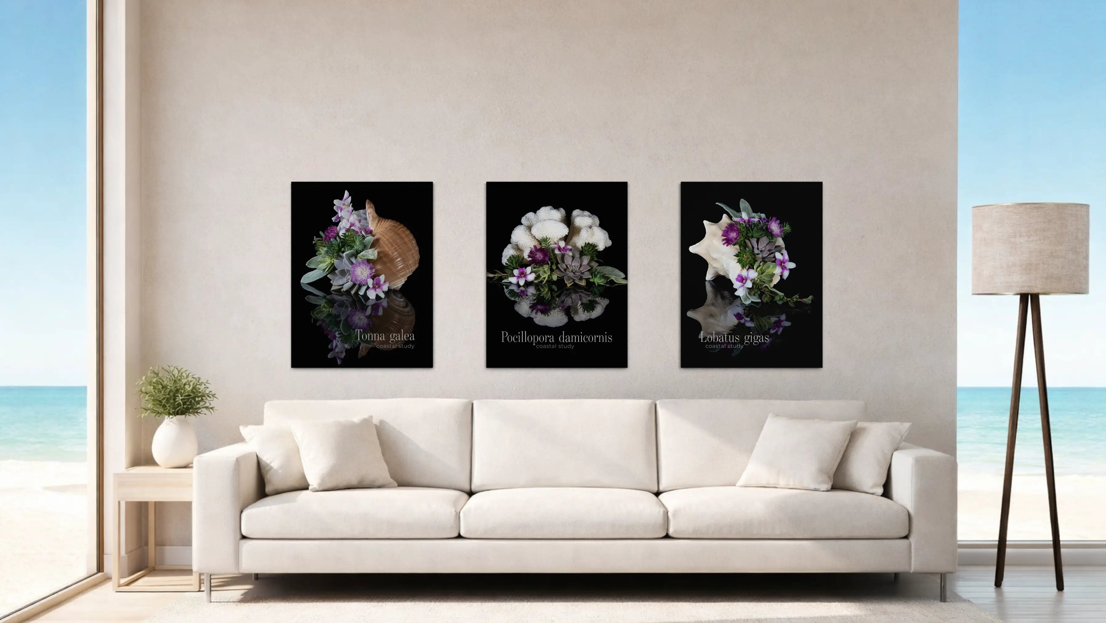 The Coastal Study Collection — Botanical Shell Statement Set