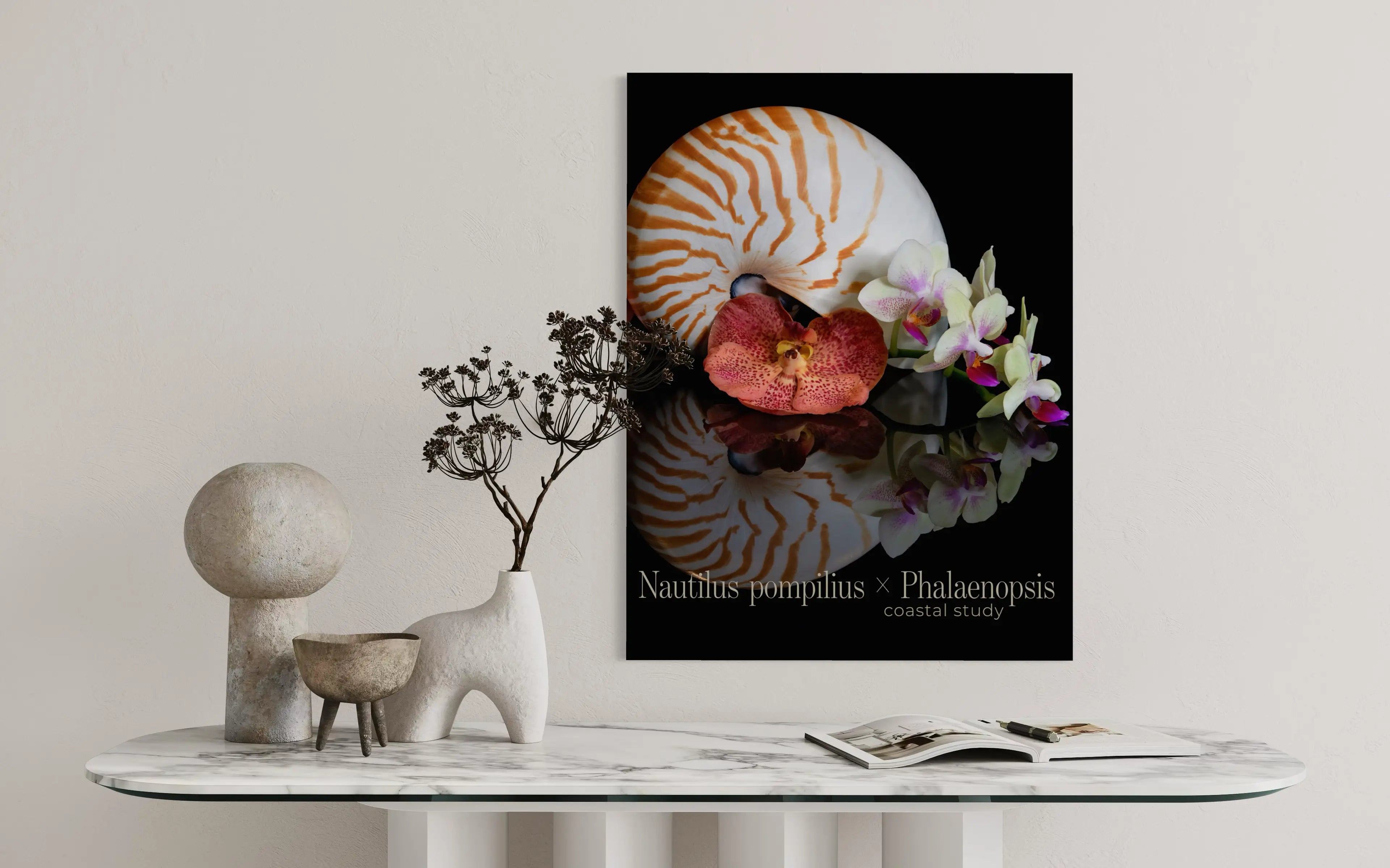 Nautilus shell wall art with spotted orchid displayed above a modern console table in a minimalist coastal interior