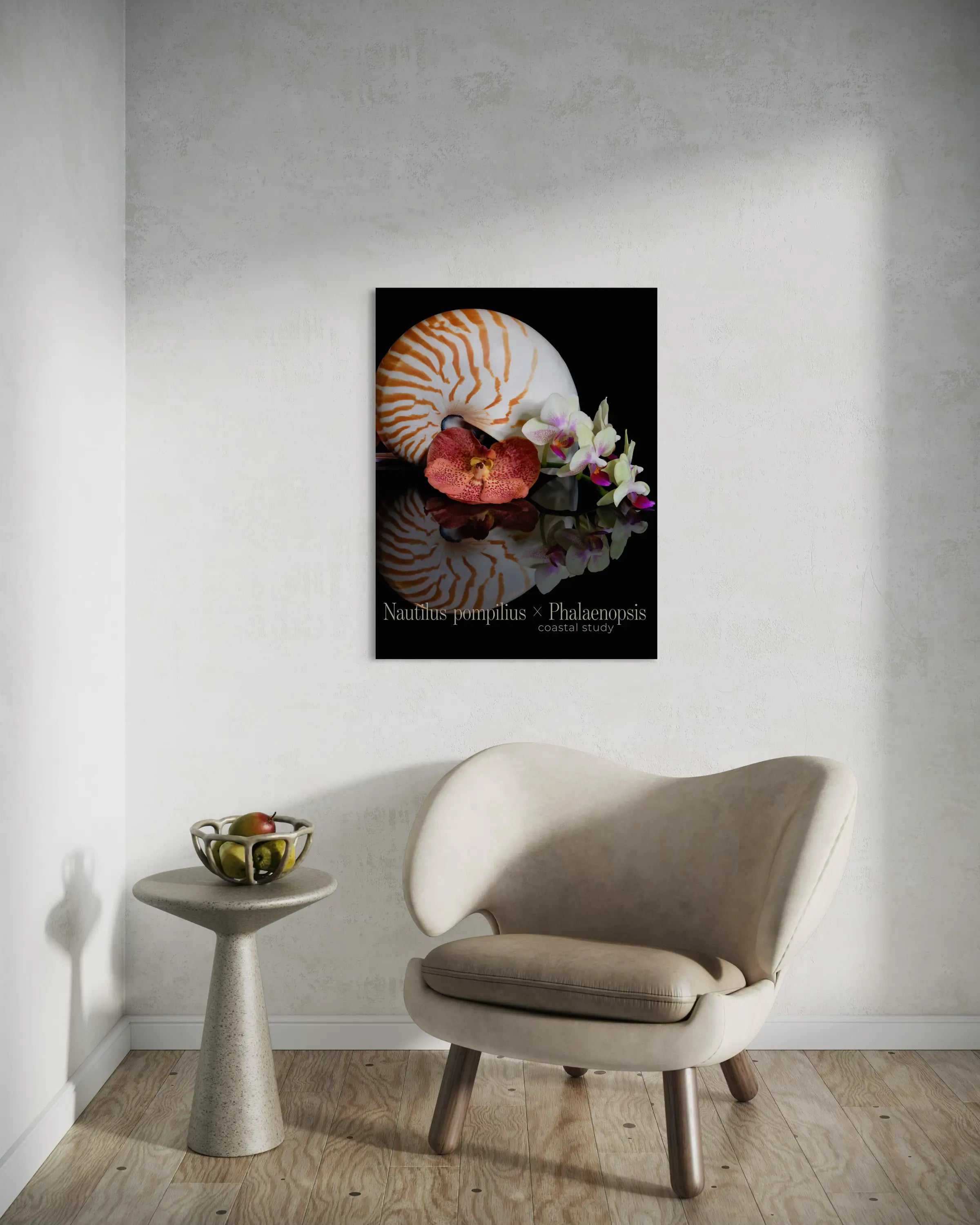 Nautilus shell wall art with orchid in a neutral living space above a sculptural chair and side table