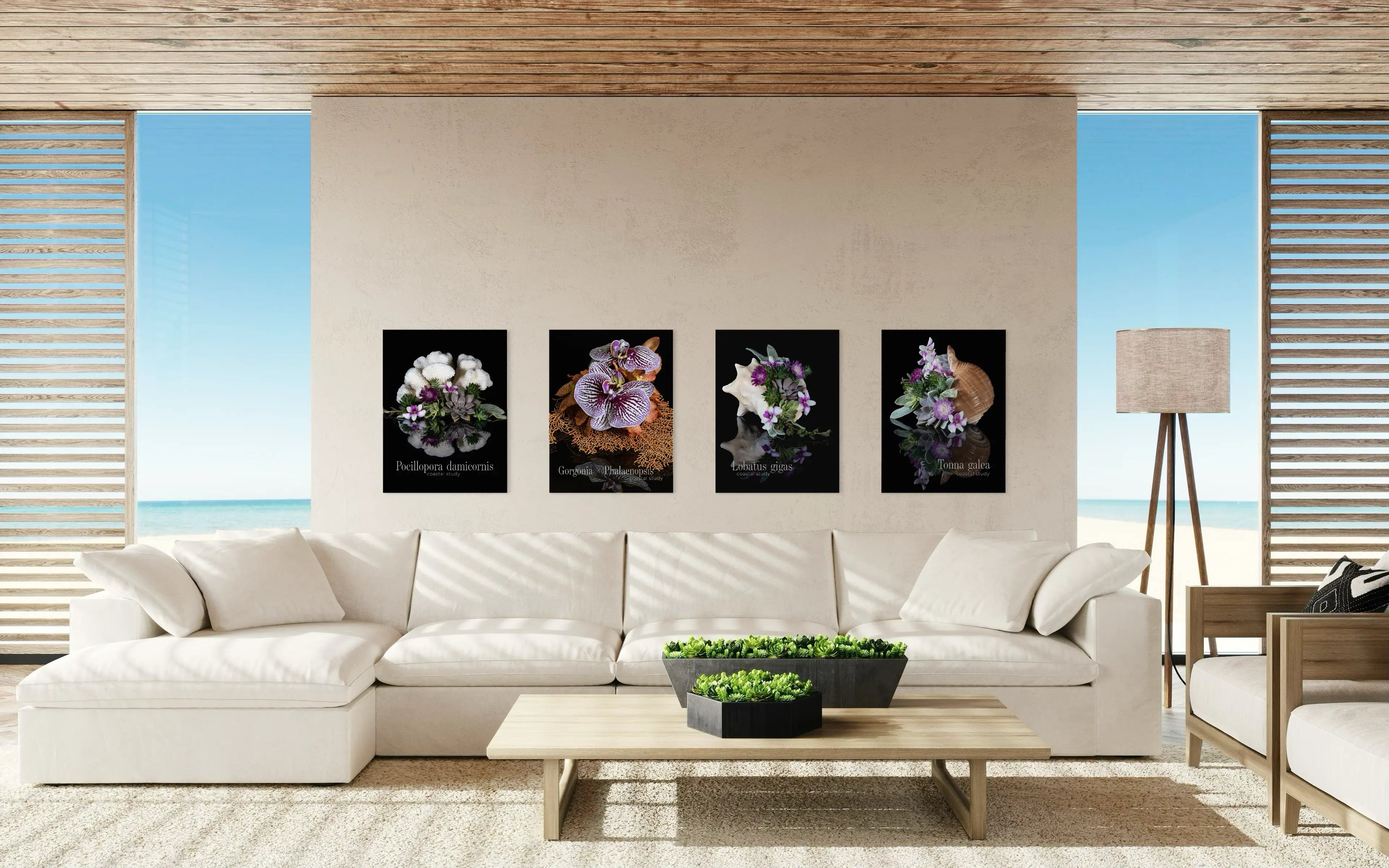 Coastal wall gallery with coral and seashell botanical glass prints in modern beach house living room