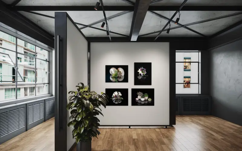 Conch shell with succulents on black glass, coastal wall art gallery