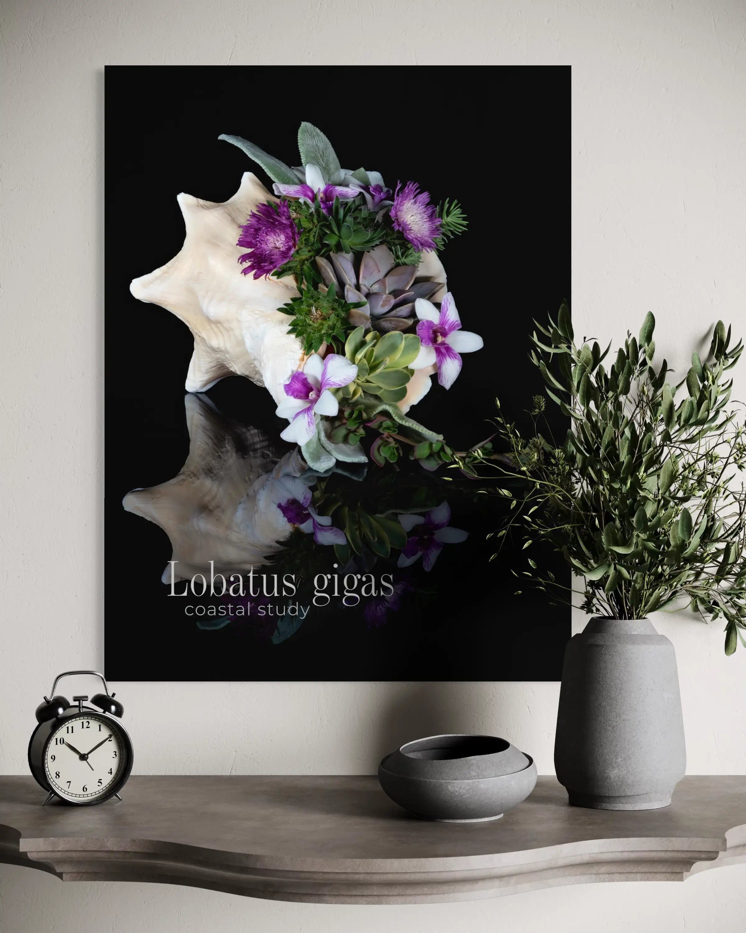 Conch Shell — Succulent Arrangement