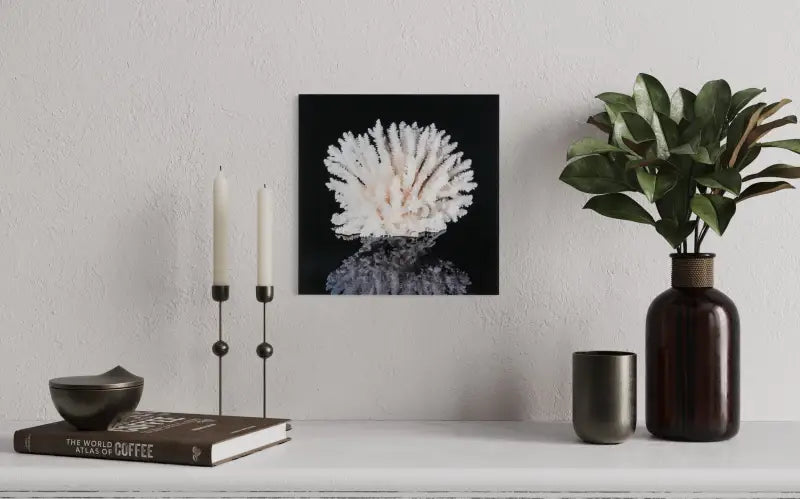 White Sea Table Coral Square Glass Print on black for coastal niche wall decor.