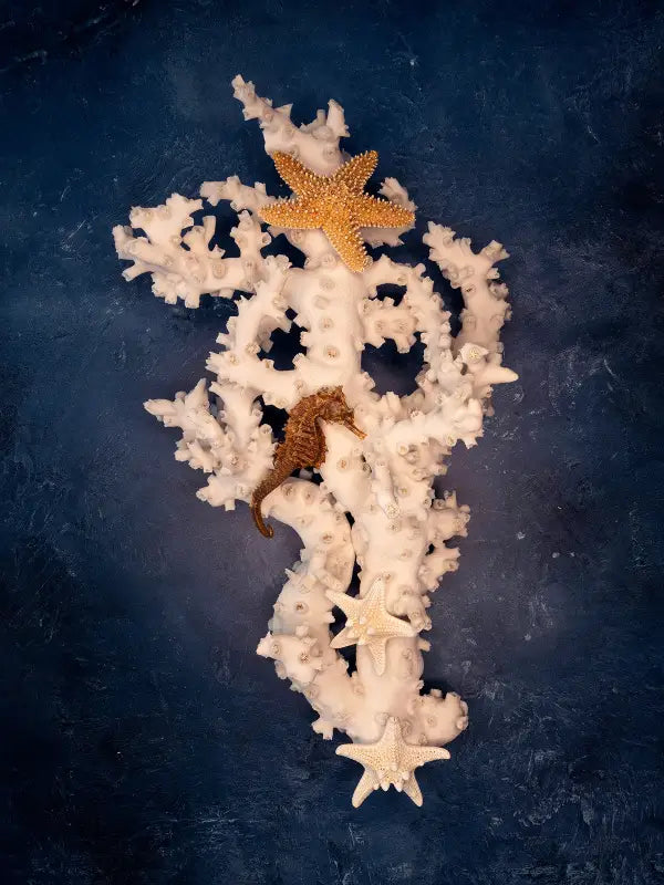 Seahorse glass print with octopus coral and starfish on blue background, coastal home decor