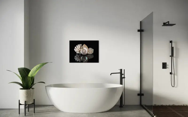 Coral and Pearl Nautilus on black reflective background coastal glass print, bathroom decor