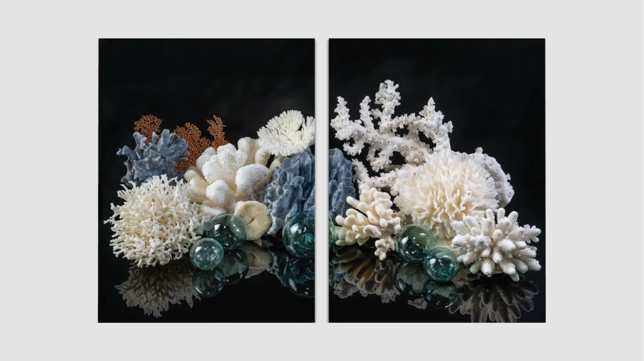 Coral reef diptych glass wall art with white and blue-gray coral, antique Japanese glass floats, and reflections on a black background.