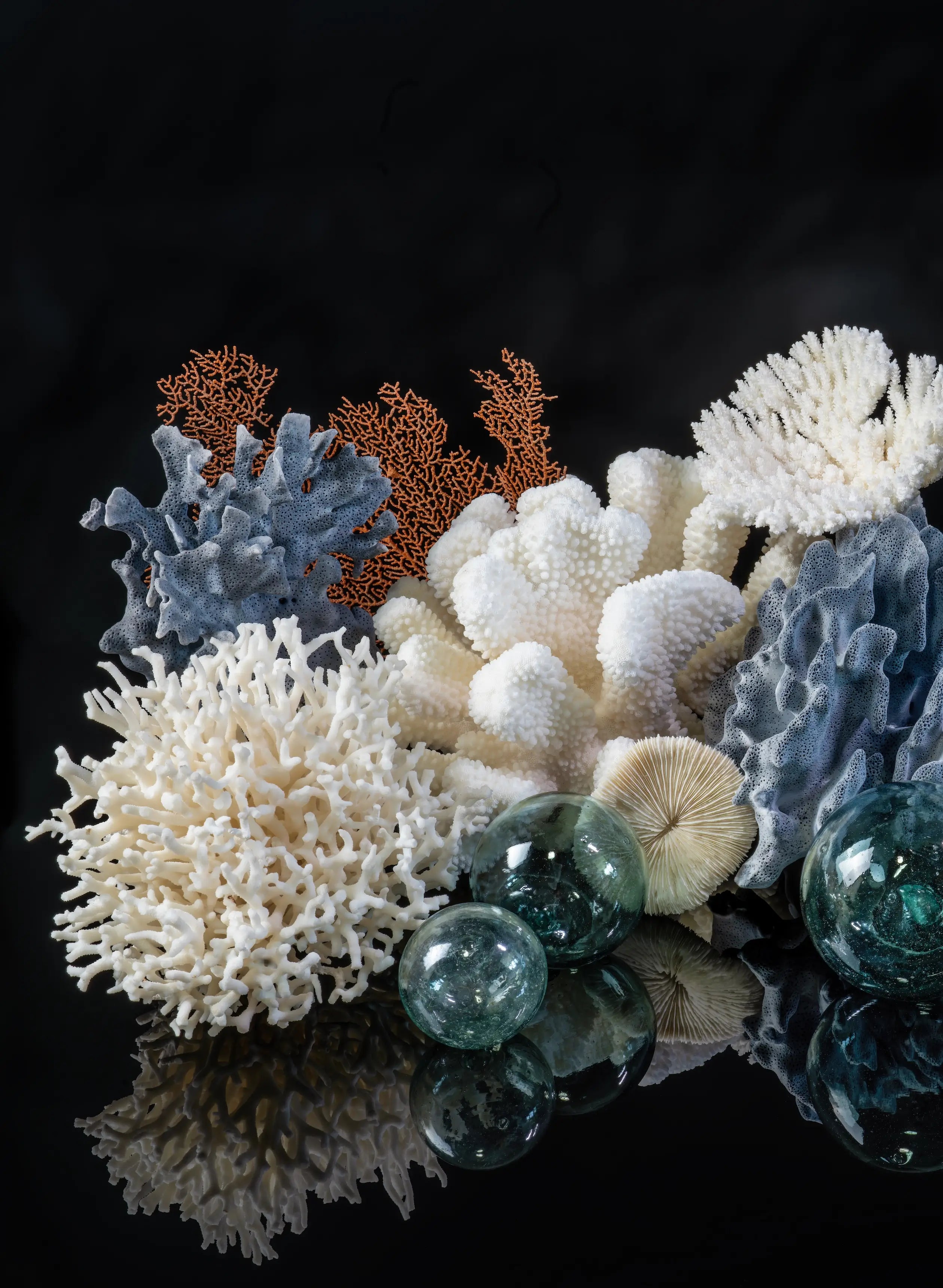 Left panel of coral reef wall art featuring white and blue-gray coral, warm sea fan coral, and antique Japanese glass floats.