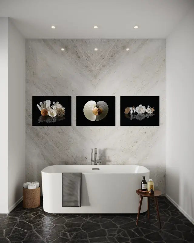 An image of Poca, tabletop, brown stem coral, and a sunflower starfish on a black reflective background-wall gallery-bathroom