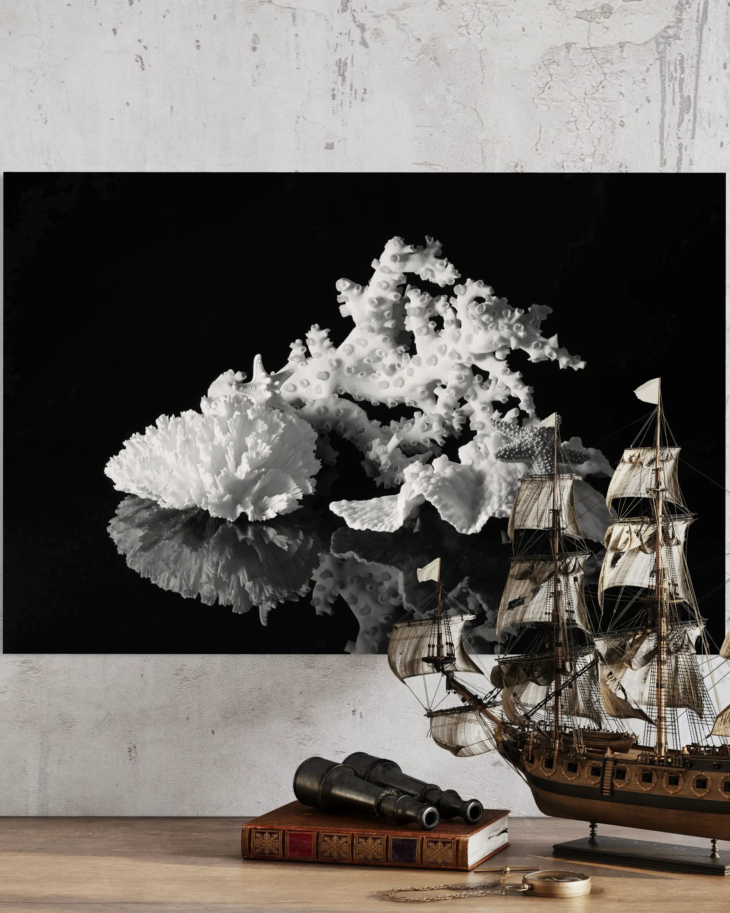 White octopus coral and starfish on black glass, Echoes of the Sea glass print