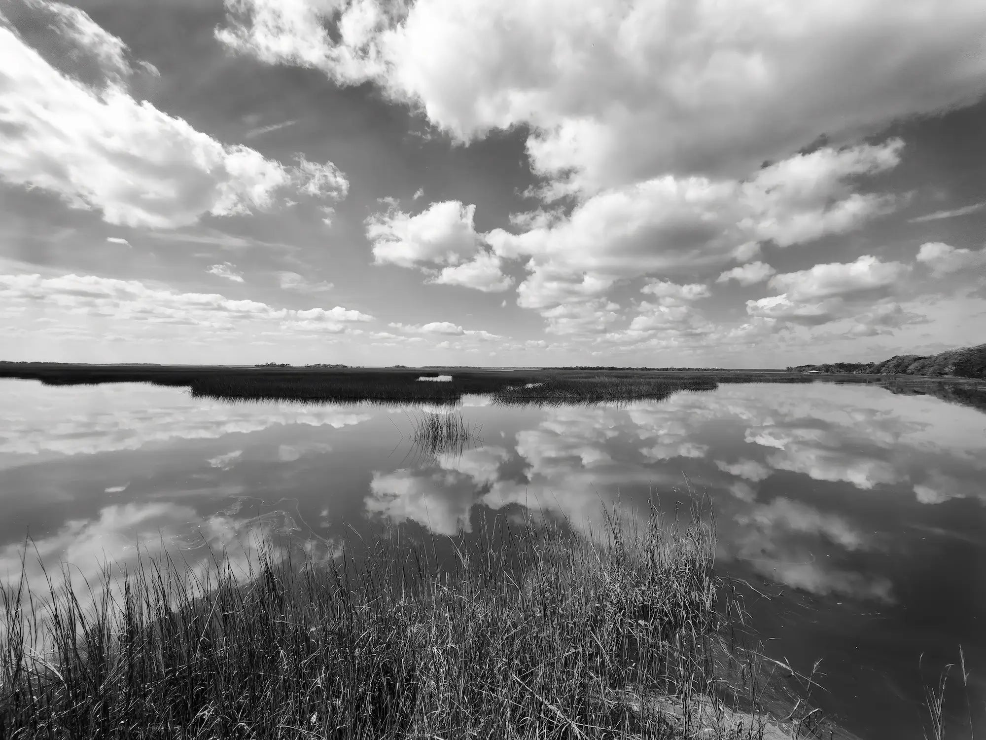 Black-and-white Cumberland Island marsh photograph with tidal grasses, calm water, and sweeping cloud reflections.