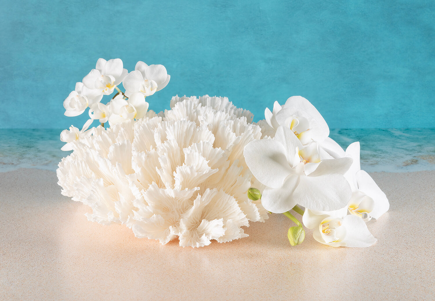 Stunning eco-friendly coastal glass print featuring cabbage coral and white orchids on a beach background