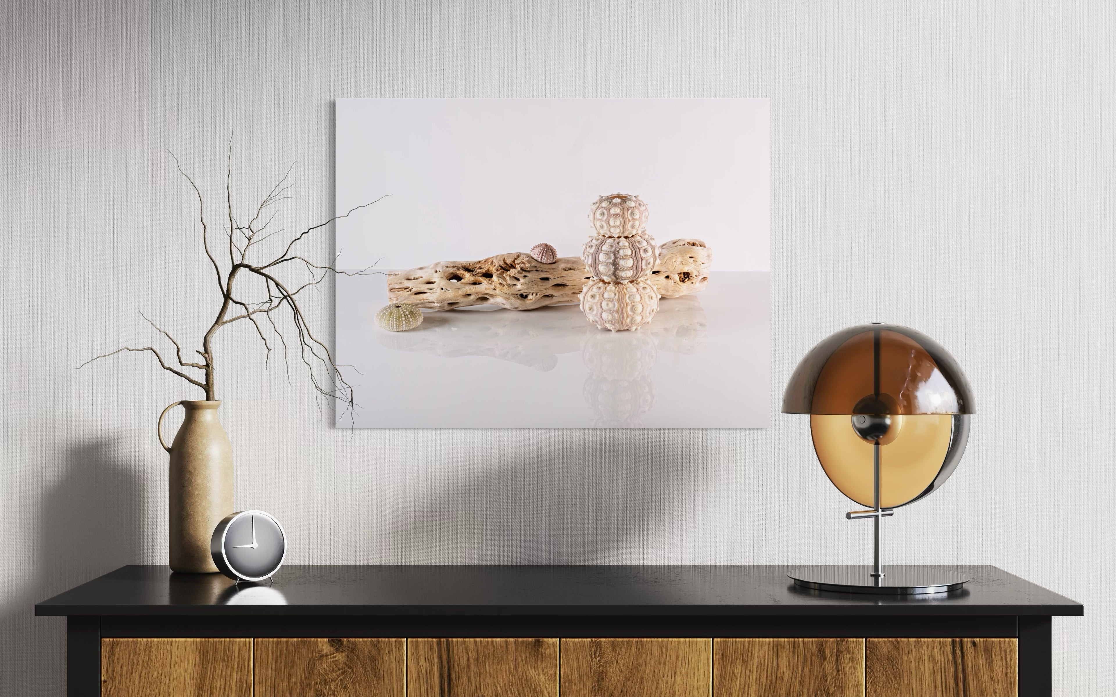 Glass Wall Art: Cholla Driftwood & Sea Urchins - Shell Prints