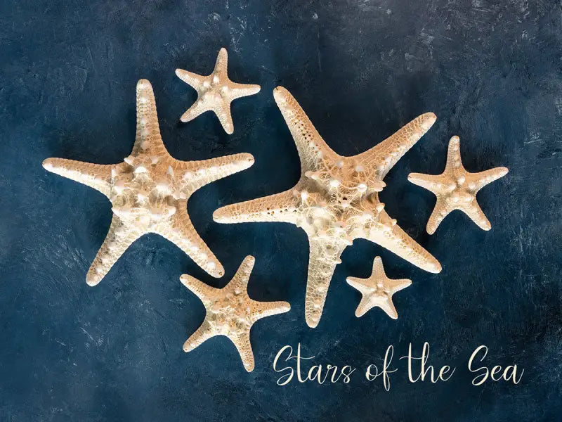 Coastal glass print with White knobby starfish with Stars of the Sea script on blue backdrop