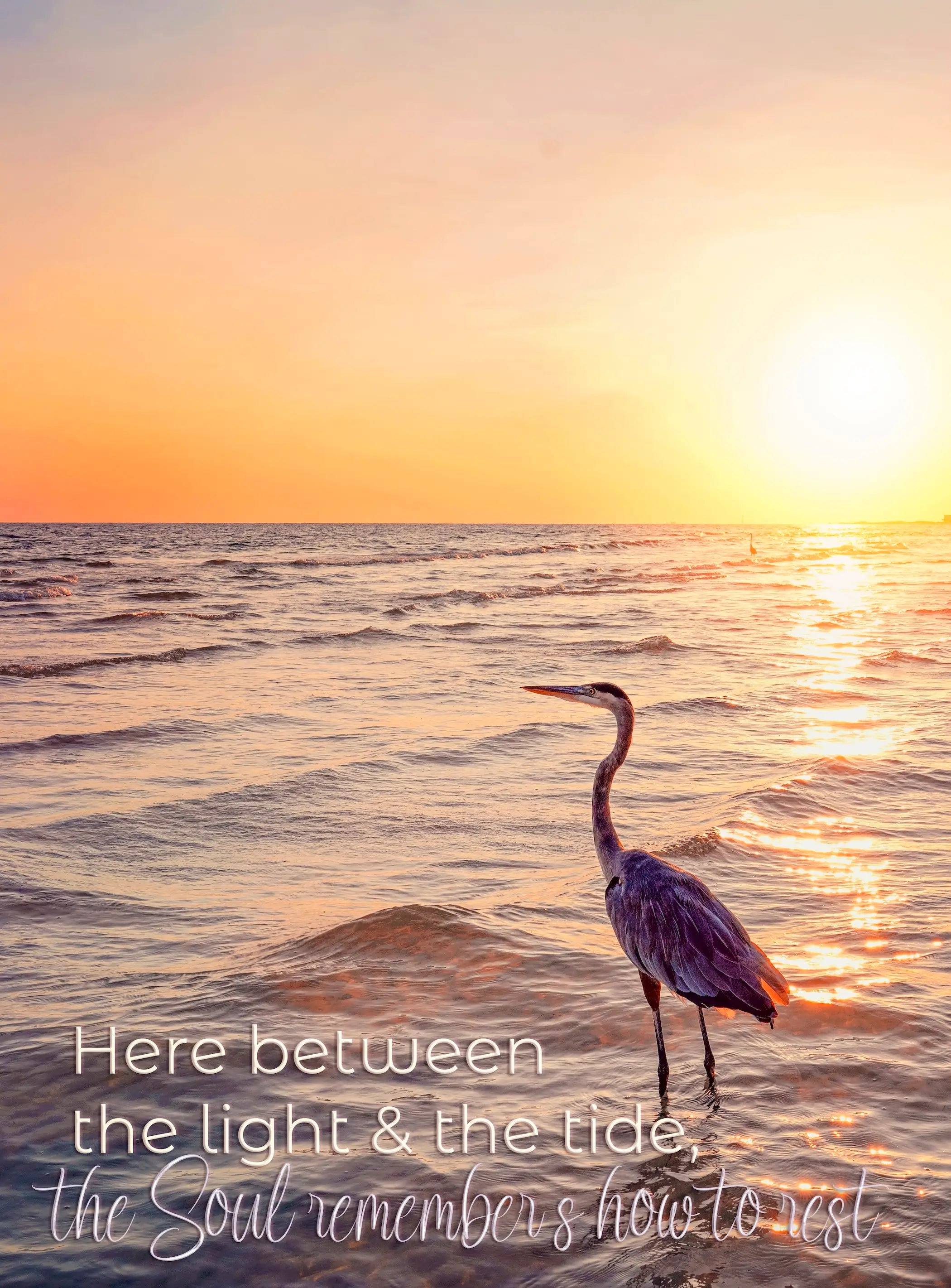 Glass print of heron in the waves at sunset with the quote "Here between the light & the tide, the soul remembers how o rest"