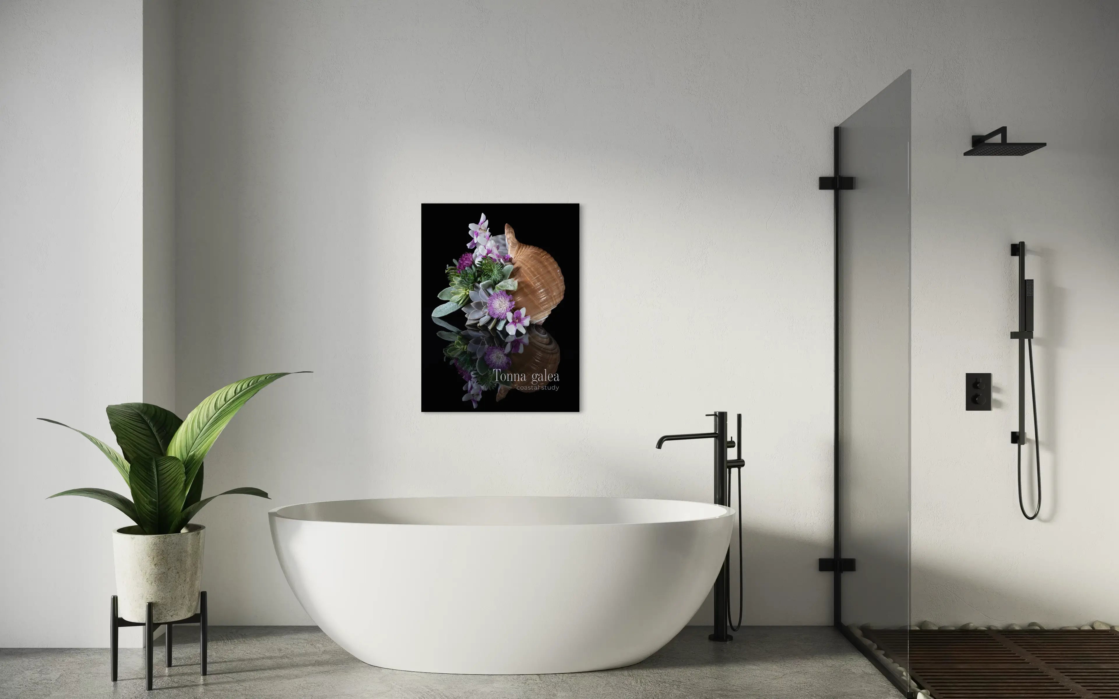 Coastal wall art set featuring shell and succulent compositions displayed above a modern freestanding bathtub.