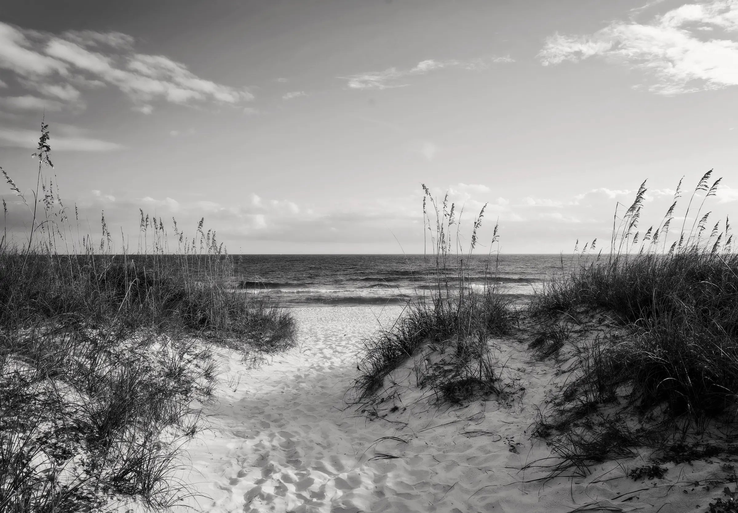 Monochrome Sandy Dunes & Sea Oats coastal glass print for grounding and balance in Feng Shui