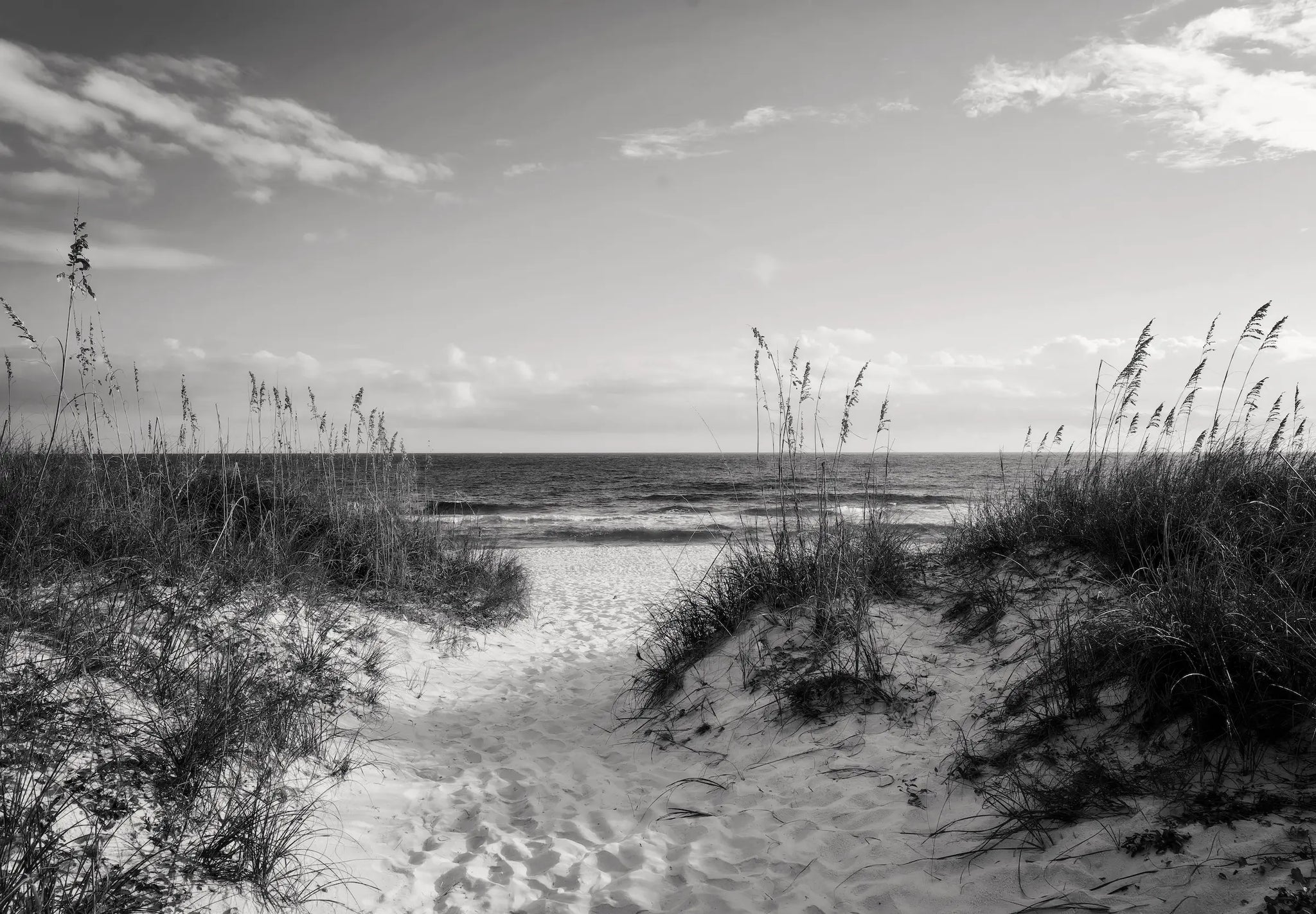Monochrome Sandy Dunes & Sea Oats coastal glass print for grounding and balance in Feng Shui