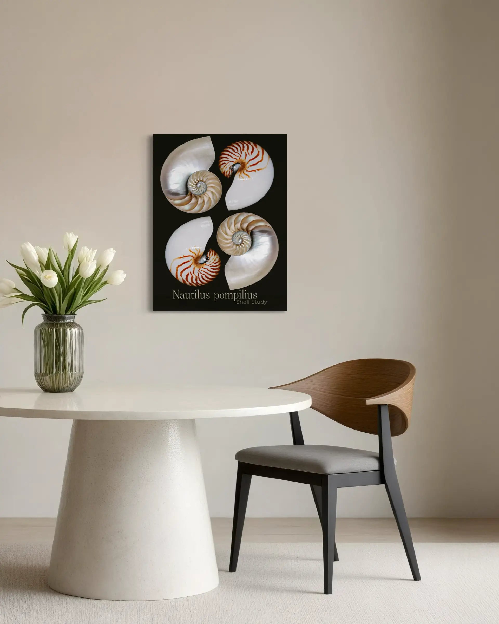 Coastal wall art featuring nautilus shells displayed in a warm modern dining space