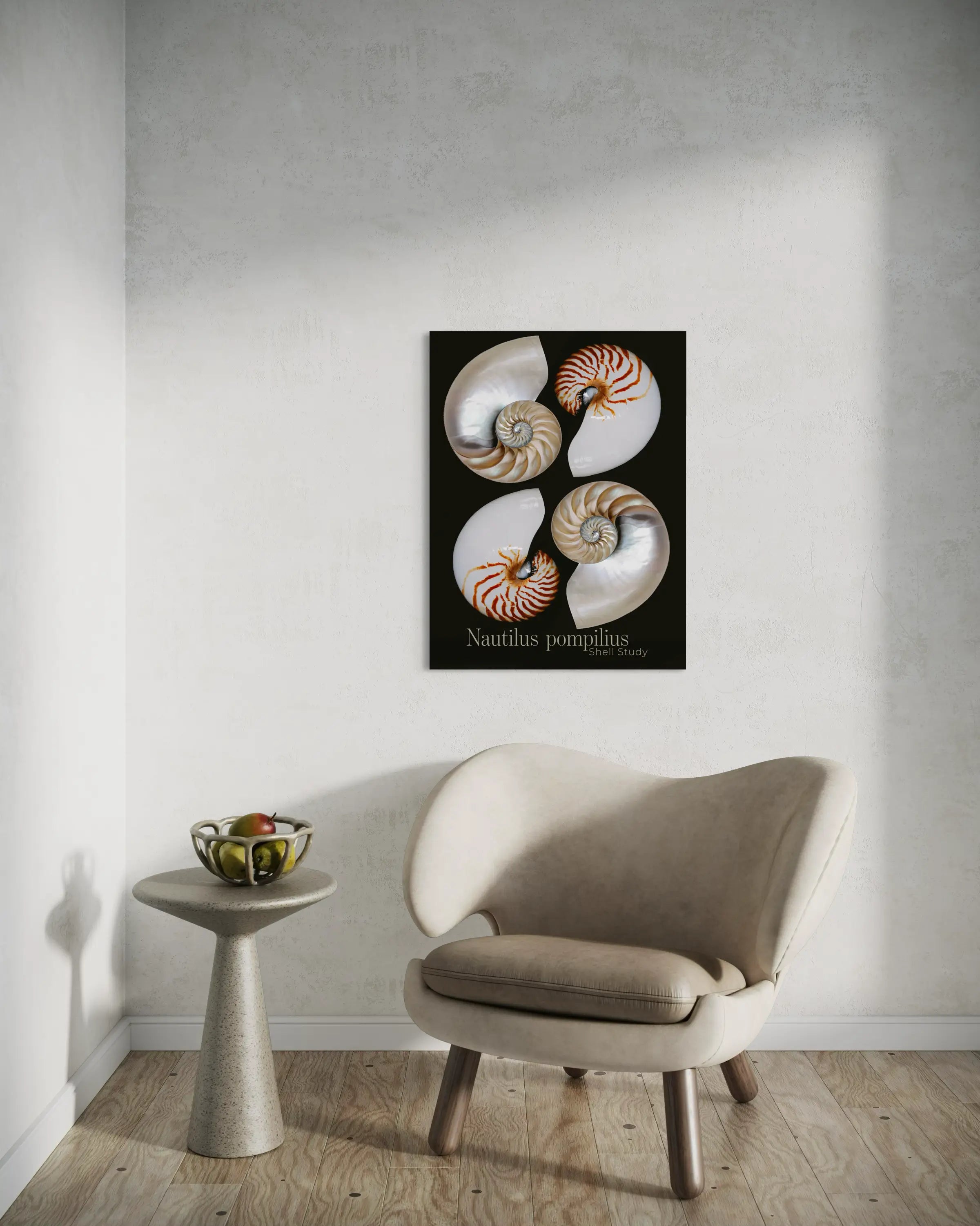 Nautilus shell wall art on glass displayed above a modern chair in a minimal coastal interior