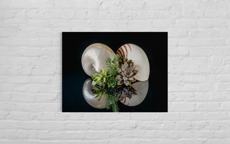 Oceanic Serenity Glass Print with pearl nautilus, chambered nautilus, and succulents on glass, coastal wall decor.