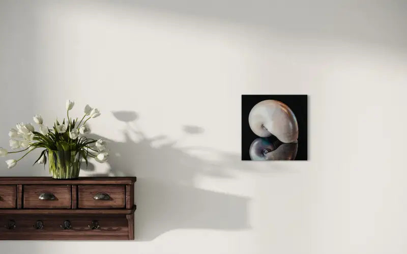 White Nautilus Reflective Glass Print - luxury coastal wall art, eco-friendly, modern decor - wall decor