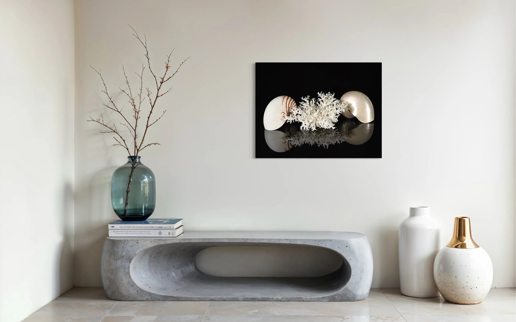 Nautilus & Bird's Nest Coral on black glass print, Echoes of the Sea, modern coastal wall art