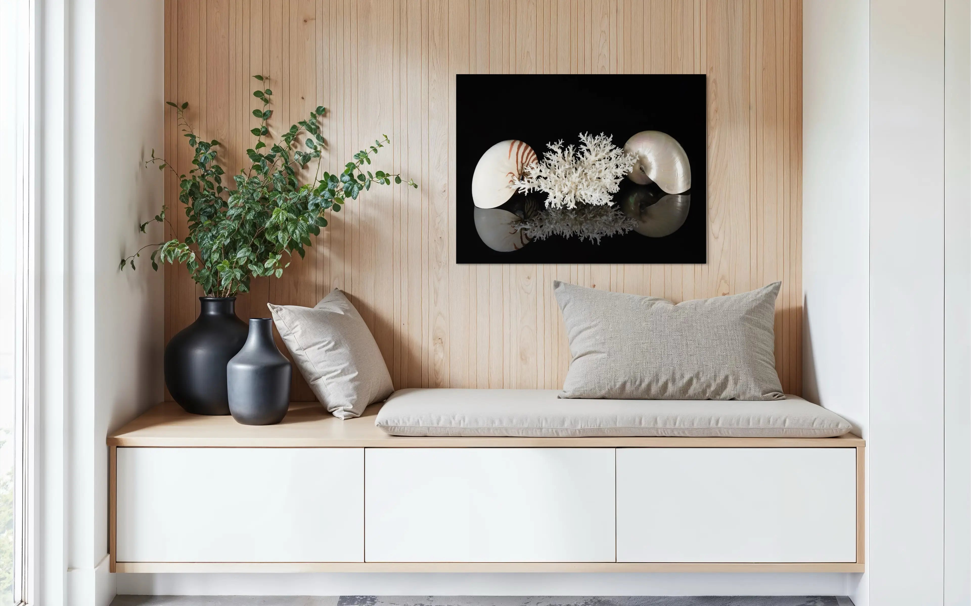 Nautilus & Bird's Nest Coral on black glass print, Echoes of the Sea, above bench seat