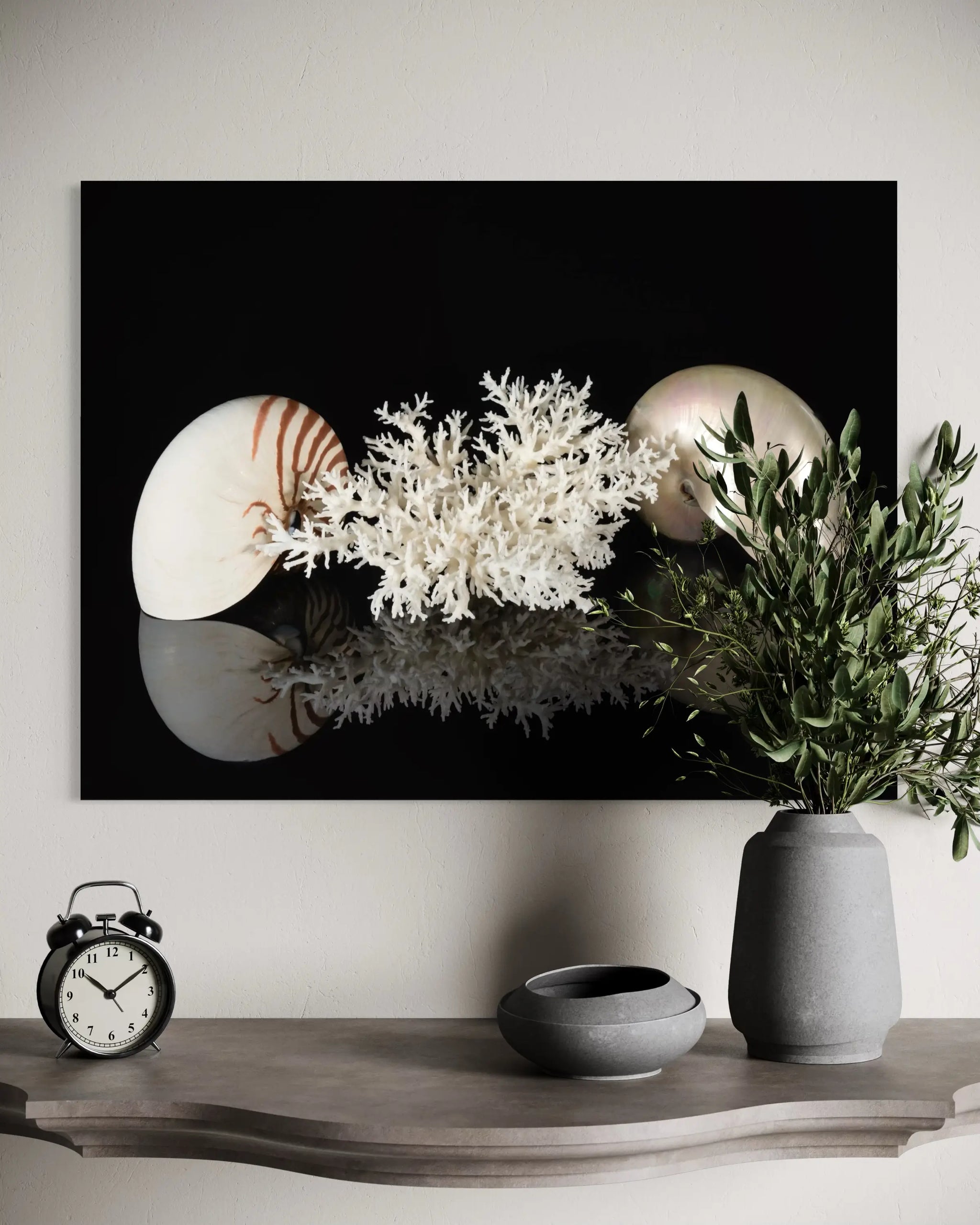 Nautilus & Bird's Nest Coral on black glass print, Echoes of the Sea_above a decorative shelf
