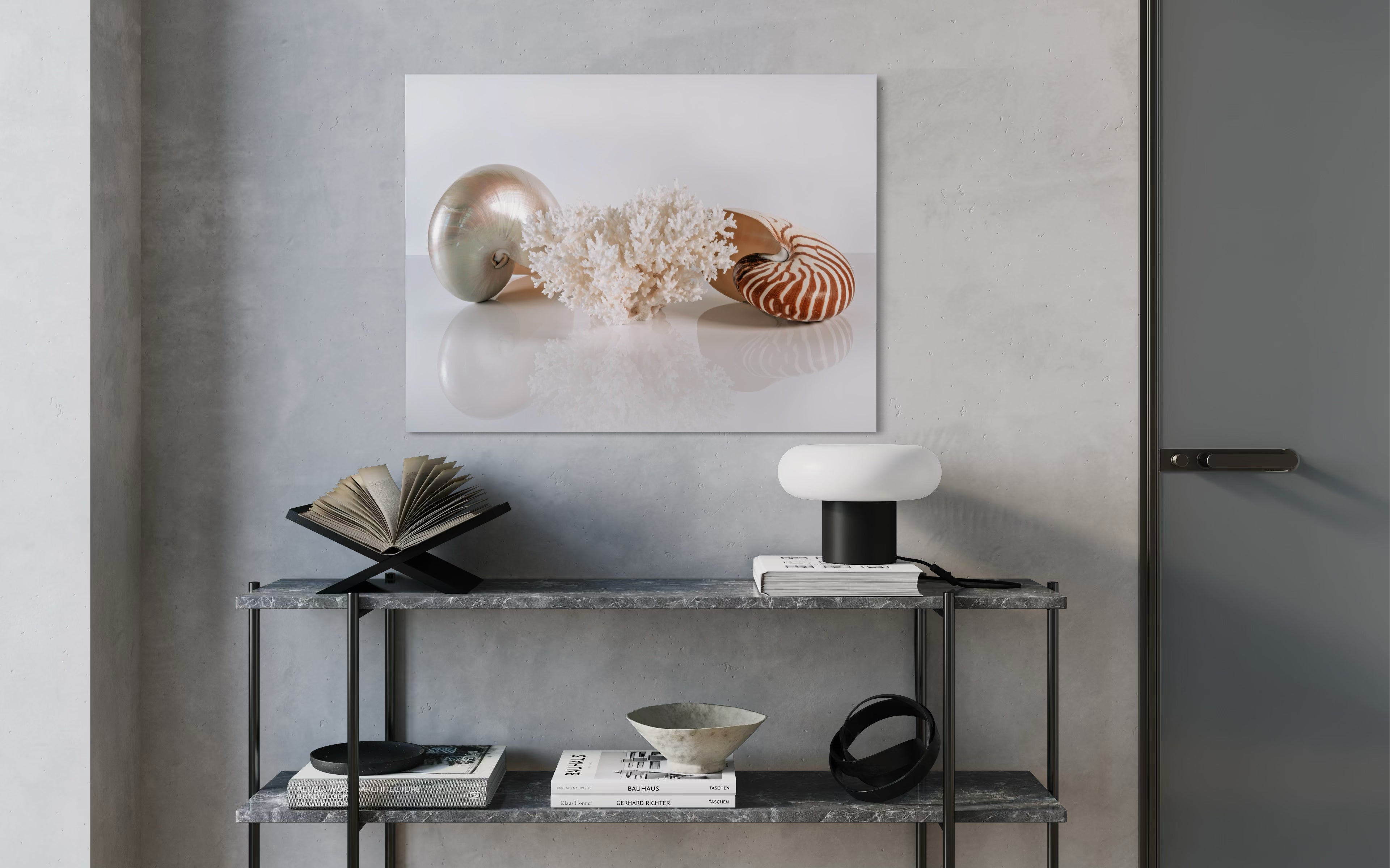Nautilus Shell and Bird's Nest Coral Coastal Glass Print by Echoes of the Sea above a shelf