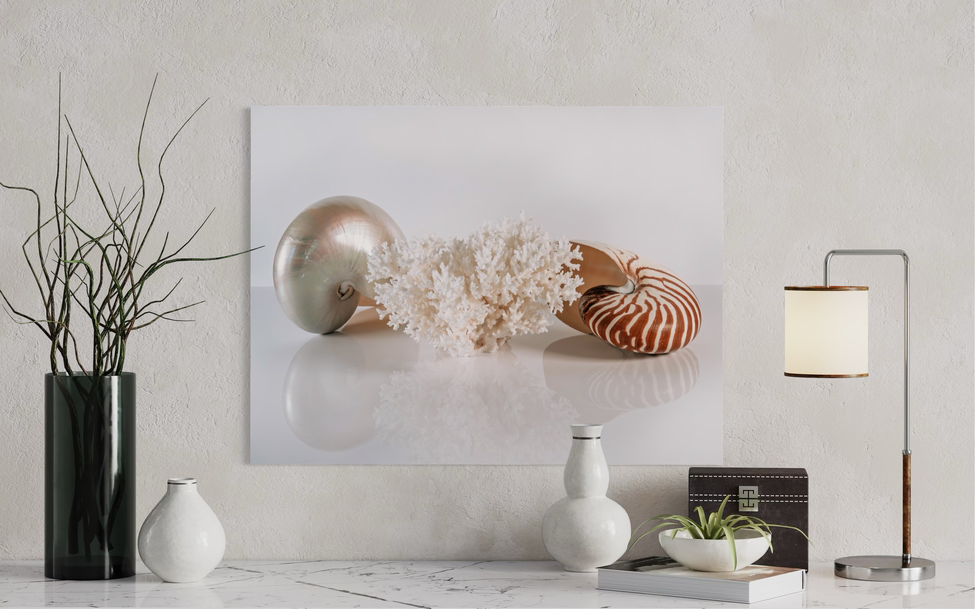 Nautilus Shell and Bird's Nest Coral Coastal Glass Print by Echoes of the Sea