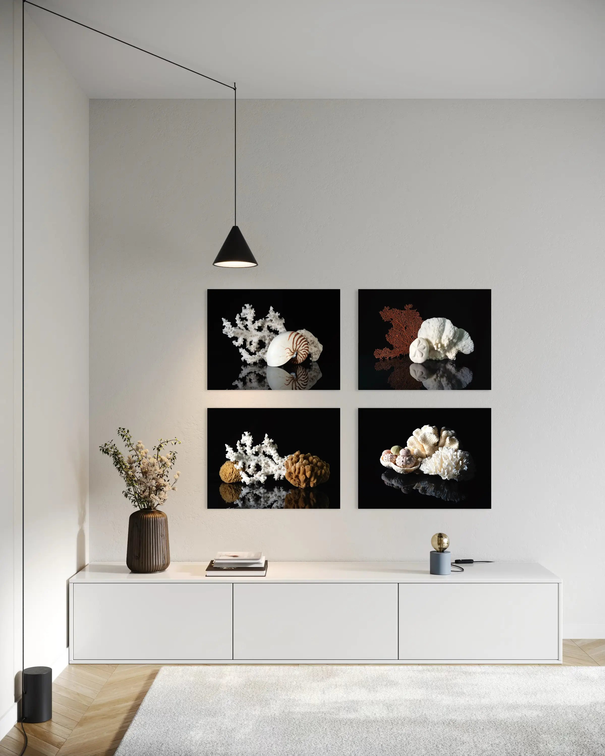 Nautilus shell and coral on black glass print, coastal wall art gallery