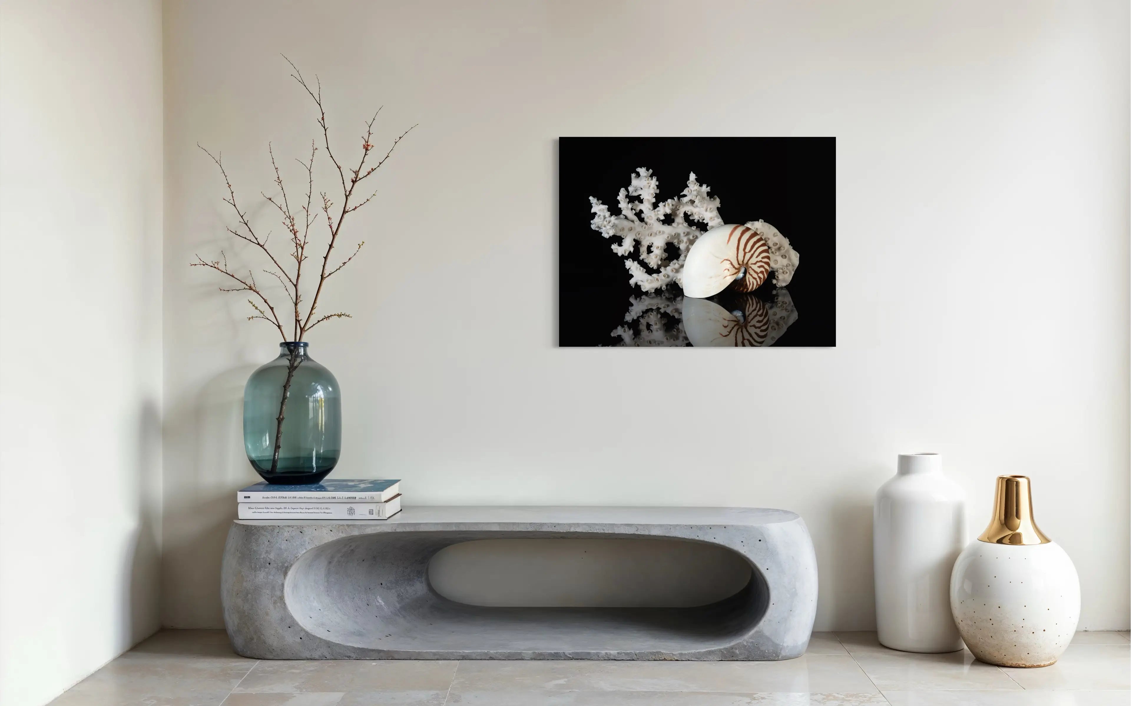 Nautilus shell and coral on black glass print, modern coastal wall art 
