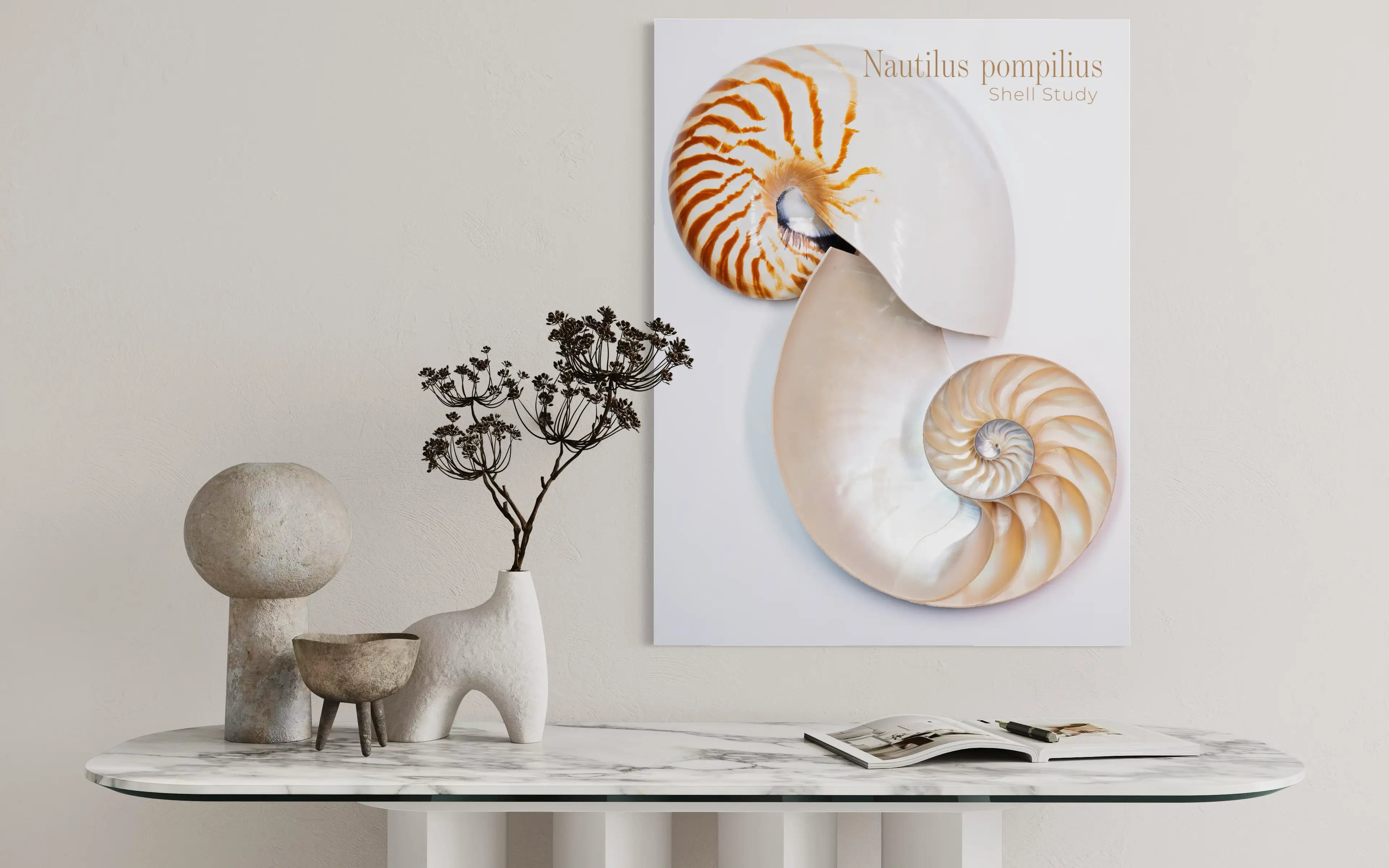 Nautilus shell wall art with dual-view shell study above a marble console in a neutral entryway