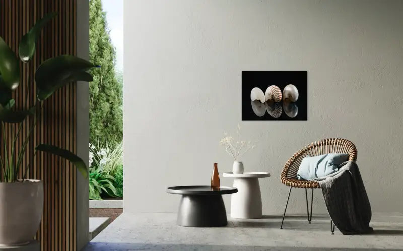 Three nautilus shells with spiral patterns on black reflective background, Echoes of the Sea glass art-wall decor